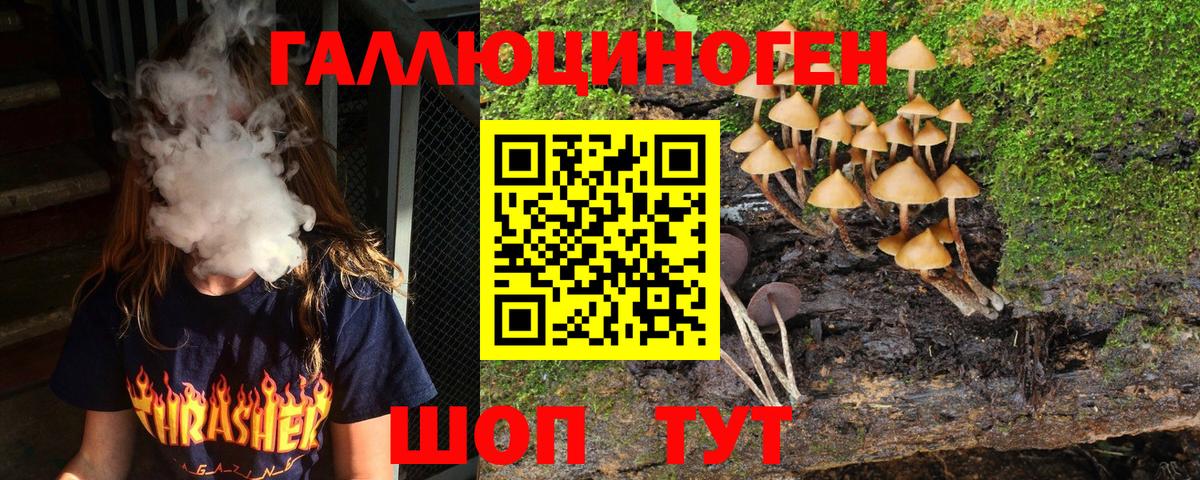 где продают   Вход с VPN  Псилоцибиновые грибы Psilocybine cubensis  Егорьевск  Галлюциногенные грибы мухоморы 