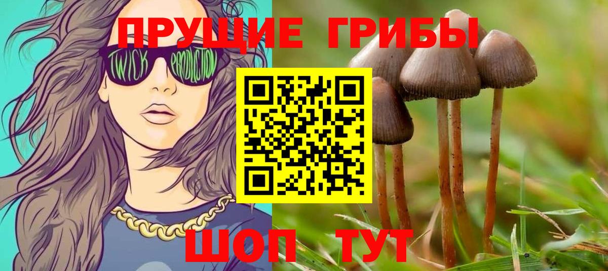 Псилоцибиновые грибы прущие грибы Егорьевск