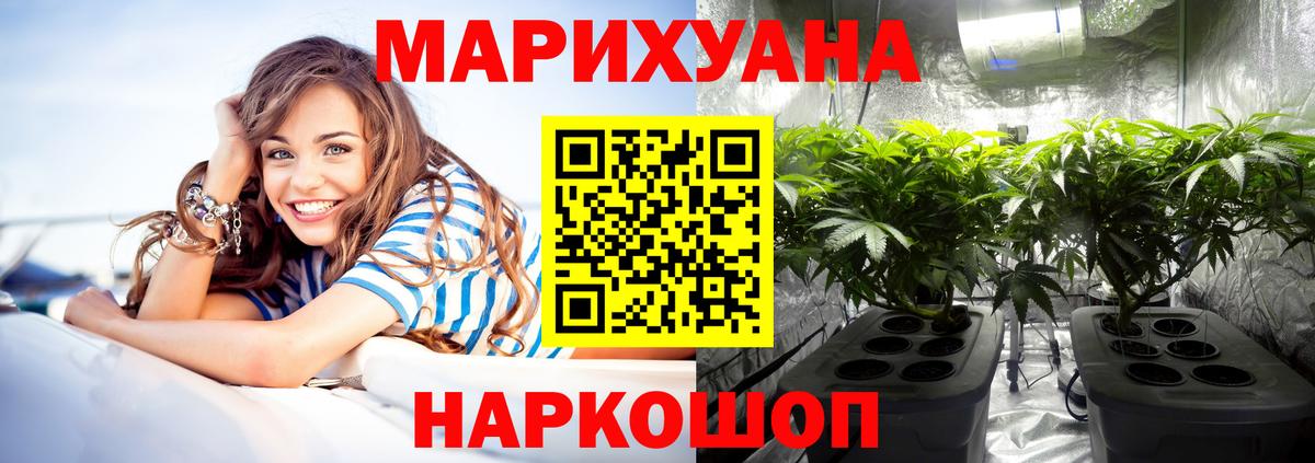 Бошки Шишки MAZAR Егорьевск